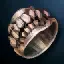 Tamlin Orc's Ring