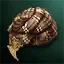Refined Brown Turban